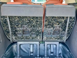 Xe Kia Carnival Signature 2.2D 2024