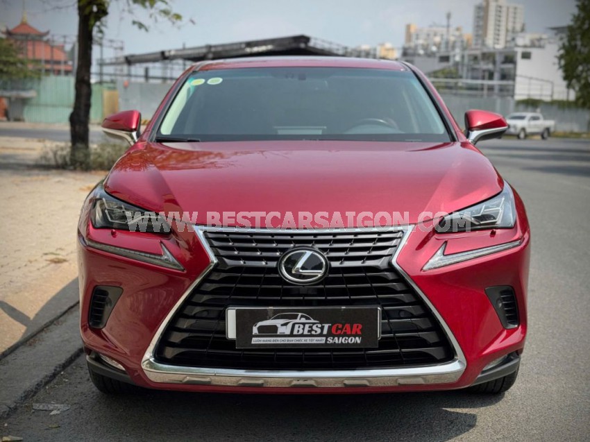 Lexus NX 300 2019