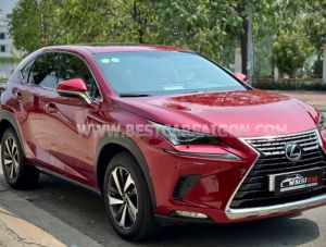 Xe Lexus NX 300 2019