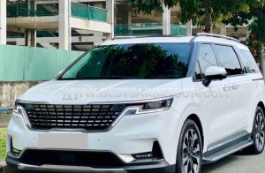Xe Kia Carnival Signature 2.2D 2022
